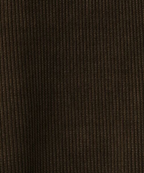 Dessin / デッサン カットソー | 【洗える】ベロアサーマルカットソー | 詳細8