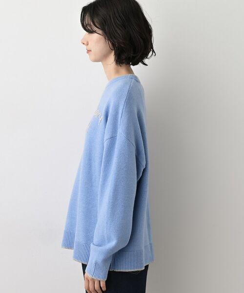 Dessin / デッサン ニット・セーター | 【洗える】ペイント風刺繍入り配色ラインニット | 詳細14