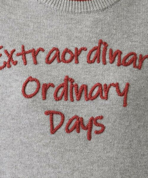 Dessin / デッサン ニット・セーター | 【洗える】ペイント風刺繍入り配色ラインニット | 詳細8