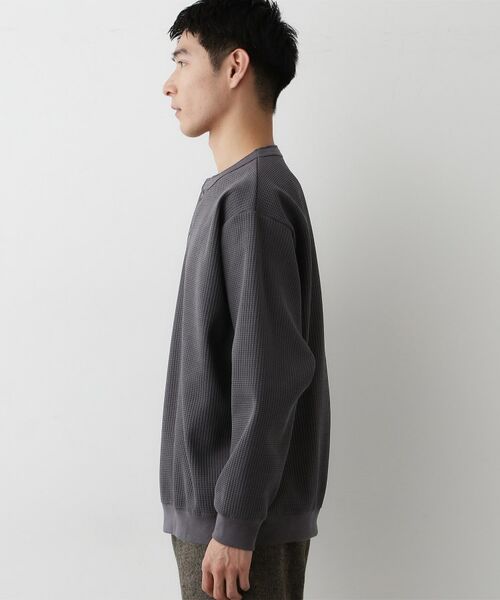 Dessin / デッサン カットソー | 【洗える】ソロテックスヘンリーネック | 詳細14