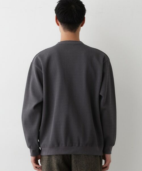 Dessin / デッサン カットソー | 【洗える】ソロテックスヘンリーネック | 詳細15