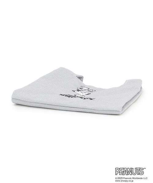 Dessin / デッサン ハンドバッグ | PEANUTSラメBAG | 詳細9