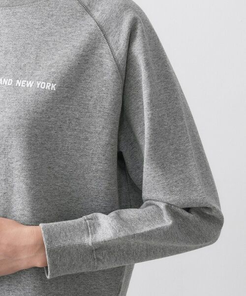 Dessin / デッサン カットソー | 【洗える】ラグラン切り替えミニロゴカットソー | 詳細17