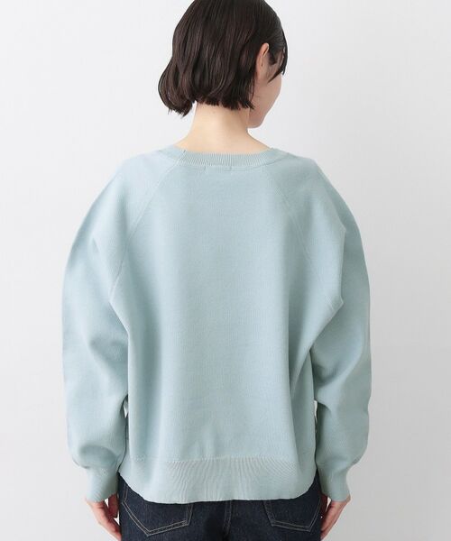 Dessin / デッサン ニット・セーター | 【洗える】スウェットライクニット | 詳細19