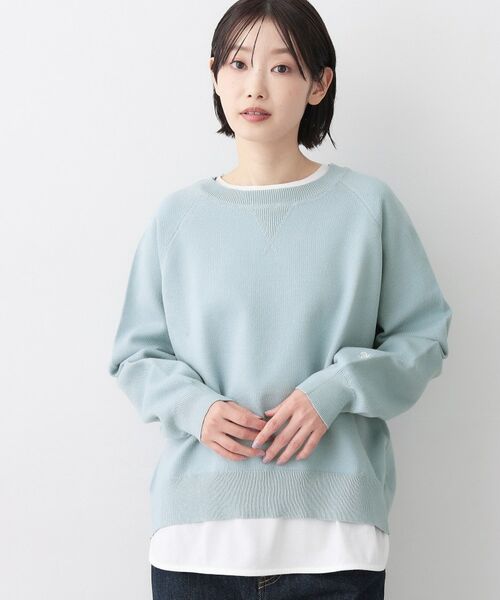 Dessin / デッサン ニット・セーター | 【洗える】スウェットライクニット（サックスブルー(090)）
