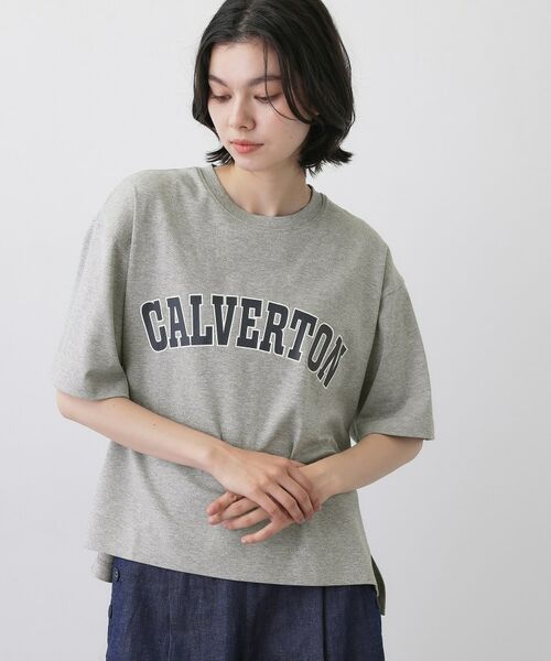 Dessin / デッサン Tシャツ | 撥水加工プリントT(グレー(012))