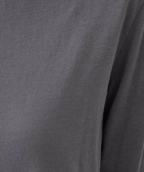Dessin / デッサン カットソー | クルーネックシアーロングTシャツ | 詳細8