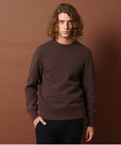 DRESSTERIOR / ドレステリア スウェット | 【ベストセラー】デキシー吊裏毛プルオーバースウェット