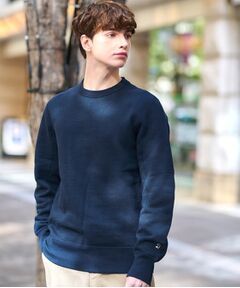 DRESSTERIOR / ドレステリア スウェット | 【ベストセラー】デキシー吊裏毛プルオーバースウェット