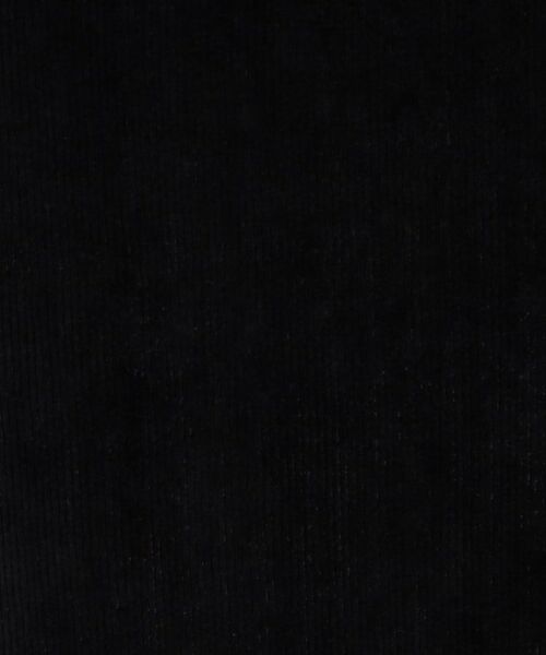 DRESSTERIOR / ドレステリア ロング・マキシ丈スカート | 【ベストセラー/定番】コーデュロイナロースカート | 詳細9