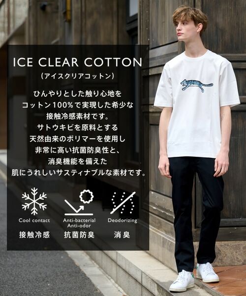 DRESSTERIOR / ドレステリア Tシャツ | 【接触冷感/抗菌防臭/消臭】ICE CLEAR COTTON ブルータイガーTシャツ | 詳細1