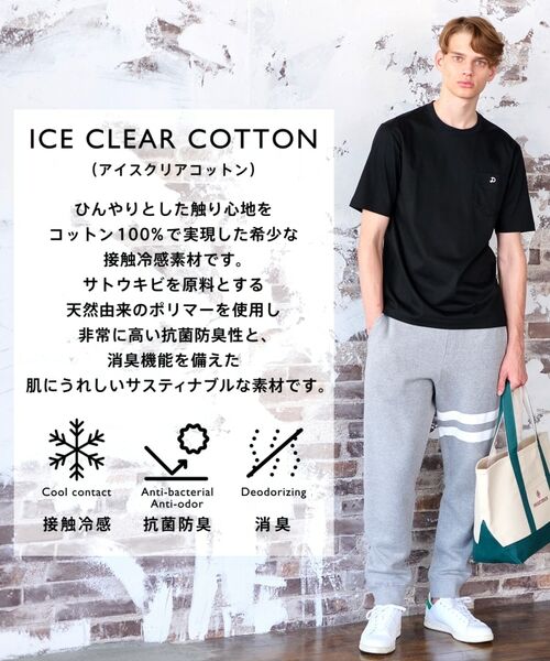 DRESSTERIOR / ドレステリア Tシャツ | 【接触冷感／抗菌防臭／消臭】ICE CLEAR COTTON ポケットTシャツ | 詳細1