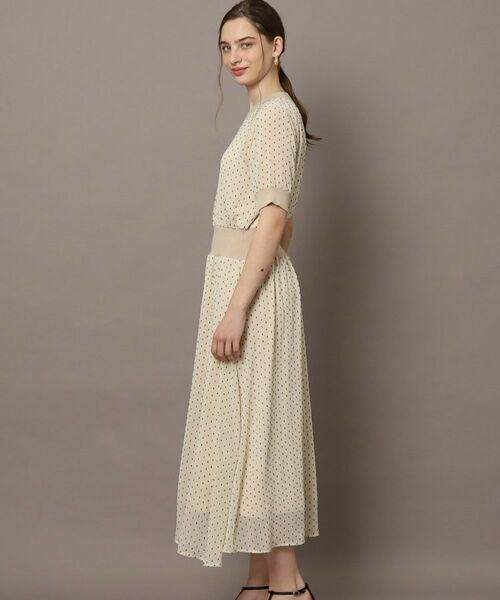 DRESSTERIOR / ドレステリア ロング・マキシ丈ワンピース | 【EC・ルクア別注カラーあり】ドットカットジャカードハーフスリーブ | 詳細23