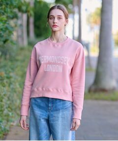 DRESSTERIOR / ドレステリア スウェット | ヴィンテージロゴスウェット