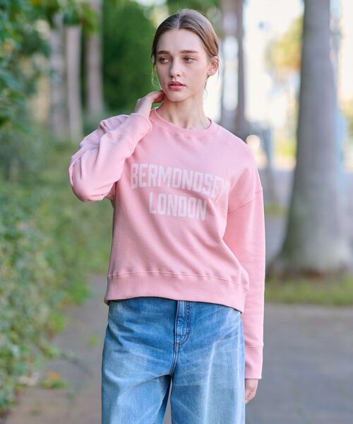 DRESSTERIOR / ドレステリア スウェット | ヴィンテージロゴスウェット | 詳細1