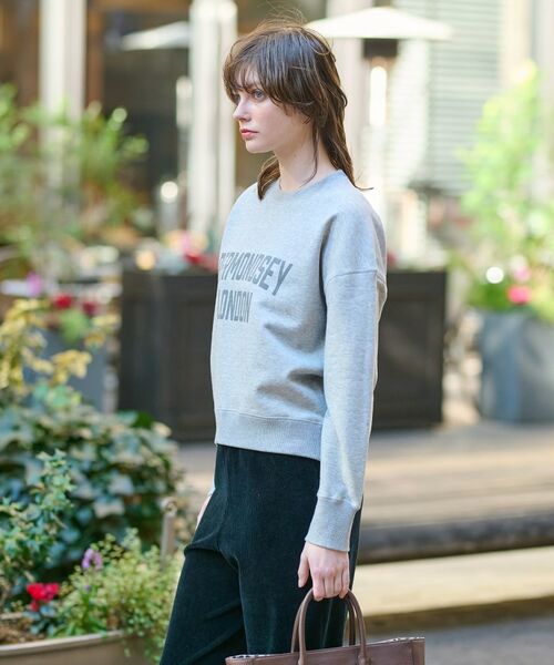 DRESSTERIOR / ドレステリア スウェット | ヴィンテージロゴスウェット | 詳細10