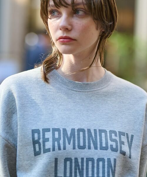 DRESSTERIOR / ドレステリア スウェット | ヴィンテージロゴスウェット | 詳細12