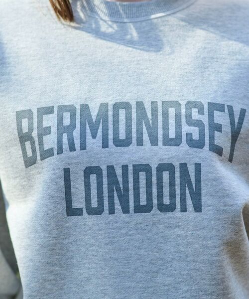 DRESSTERIOR / ドレステリア スウェット | ヴィンテージロゴスウェット | 詳細13