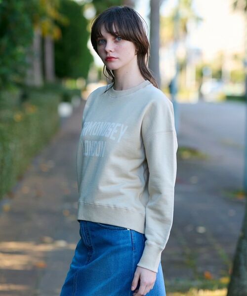 DRESSTERIOR / ドレステリア スウェット | ヴィンテージロゴスウェット | 詳細16