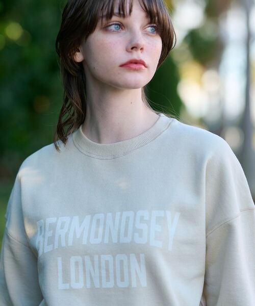 DRESSTERIOR / ドレステリア スウェット | ヴィンテージロゴスウェット | 詳細18
