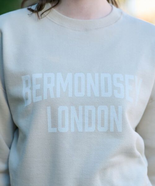 DRESSTERIOR / ドレステリア スウェット | ヴィンテージロゴスウェット | 詳細19