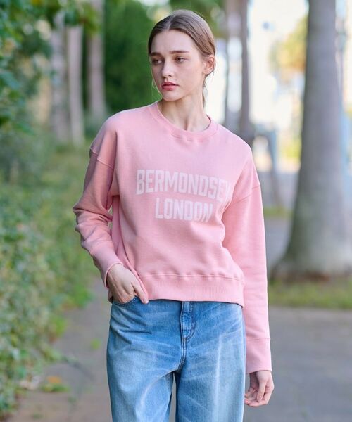 DRESSTERIOR / ドレステリア スウェット | ヴィンテージロゴスウェット | 詳細2