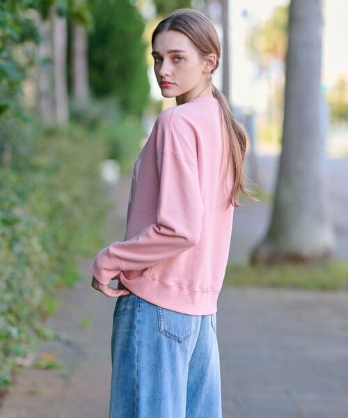 DRESSTERIOR / ドレステリア スウェット | ヴィンテージロゴスウェット | 詳細3