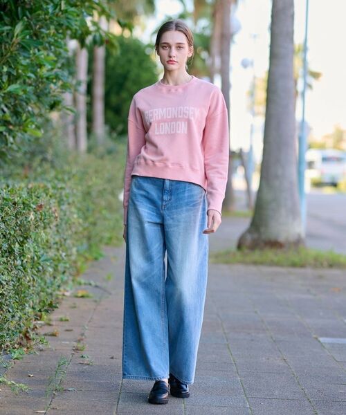 DRESSTERIOR / ドレステリア スウェット | ヴィンテージロゴスウェット | 詳細4