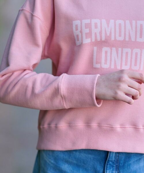 DRESSTERIOR / ドレステリア スウェット | ヴィンテージロゴスウェット | 詳細5