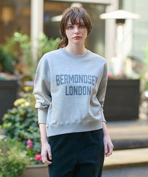 DRESSTERIOR / ドレステリア スウェット | ヴィンテージロゴスウェット | 詳細8