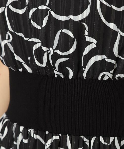 DRESSTERIOR / ドレステリア ロング・マキシ丈ワンピース | シアーリボンテーププリントドレス | 詳細21