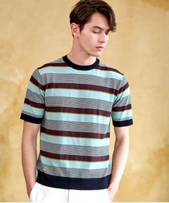 DRESSTERIOR / ドレステリア ニット・セーター | コットンシルク混 マルチボーダーニット