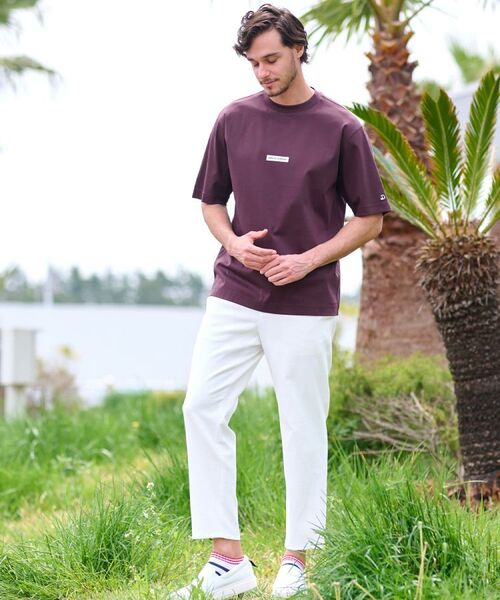 DRESSTERIOR / ドレステリア パンツ | 【洗える/セットアップ可】シェルタリングドライ トラウザーズ | 詳細12