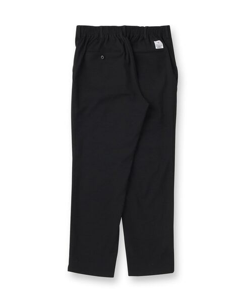 DRESSTERIOR / ドレステリア パンツ | 【洗える/セットアップ可】シェルタリングドライ トラウザーズ | 詳細22