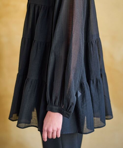 DRESSTERIOR / ドレステリア シャツ・ブラウス | 【洗える】ティアードシアーブラウス | 詳細17