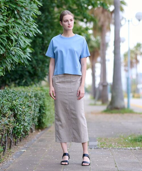 DRESSTERIOR / ドレステリア Tシャツ | 【接触冷感/抗菌防臭/消臭】アイスクリアコットンドルマンT | 詳細5