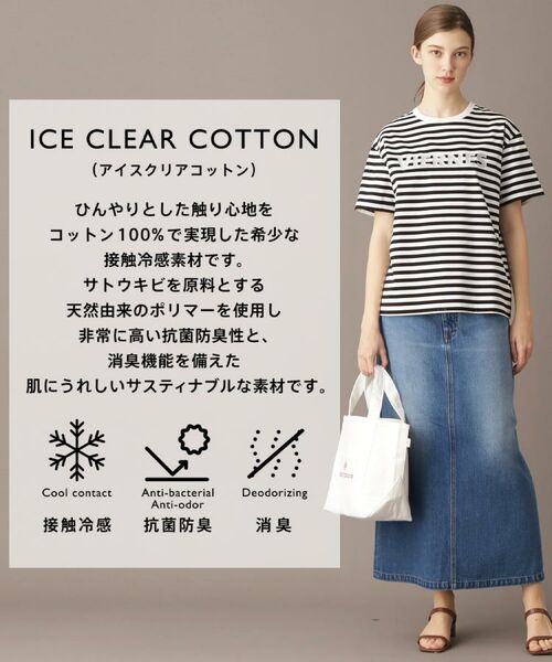 DRESSTERIOR / ドレステリア Tシャツ | 【接触冷感/抗菌防臭/消臭】アイスクリアコットン VIERNESロゴボーダーT | 詳細1