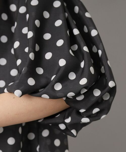 DRESSTERIOR / ドレステリア シャツ・ブラウス | 【洗える/シアー】スタンドフリルドットボリュームスリーブ | 詳細15