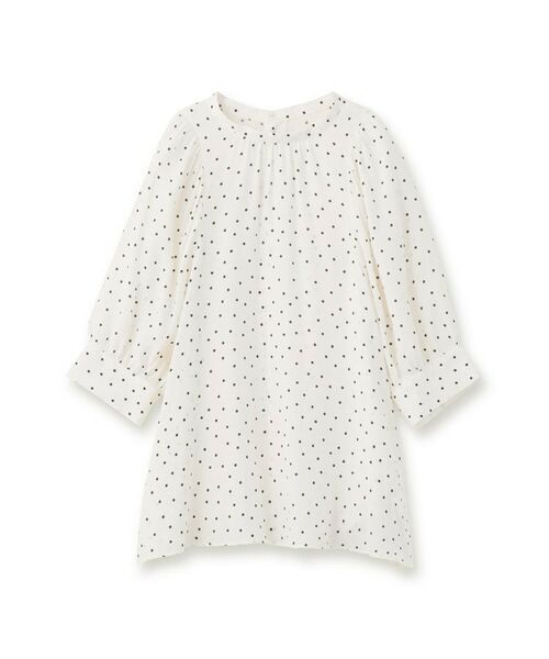 DRESSTERIOR / ドレステリア シャツ・ブラウス | 【洗える/日本製】ドットPTボリュームスリーブブラウス | 詳細1