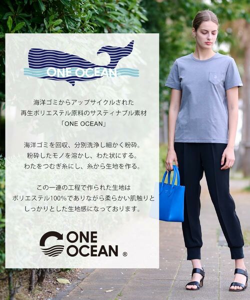 DRESSTERIOR / ドレステリア Tシャツ | 【洗える/バックプリント】再生ポリエステルホエイルプリントTシャツ | 詳細6