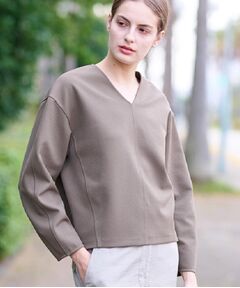 公式ファッションブランド通販サイト DRESSTERIOR カットソー （レディース） ドレステリア / トップス
