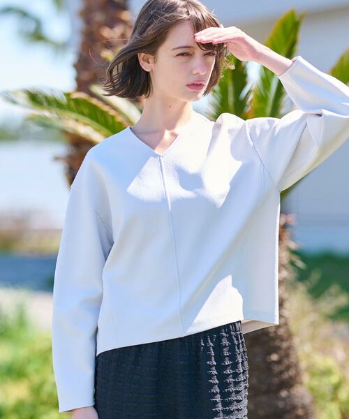 DRESSTERIOR / ドレステリア カットソー | 【洗える/イージーケア】Vネックジョーゼットプルオーバー | 詳細2