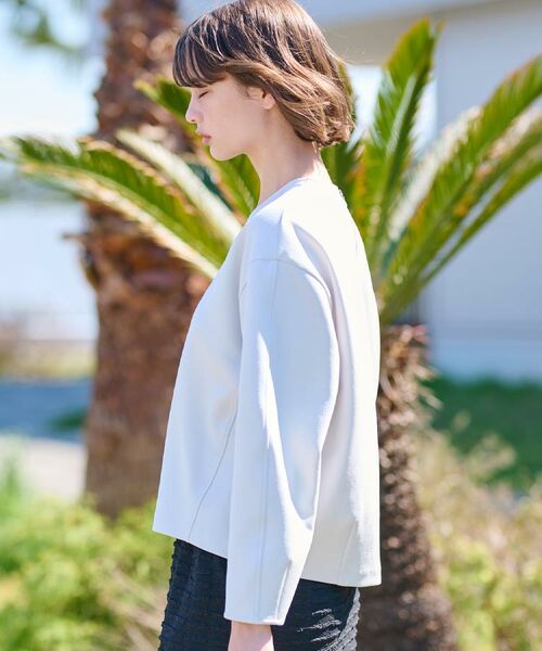 DRESSTERIOR / ドレステリア カットソー | 【洗える/イージーケア】Vネックジョーゼットプルオーバー | 詳細5