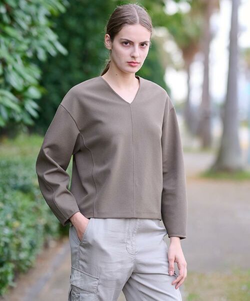 DRESSTERIOR / ドレステリア カットソー | 【洗える/イージーケア】Vネックジョーゼットプルオーバー | 詳細8