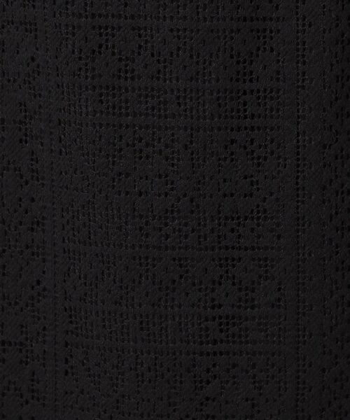 DRESSTERIOR / ドレステリア ロング・マキシ丈スカート | 【後ろウエストゴム】オーガニックコットンブレンドレーススカート | 詳細13