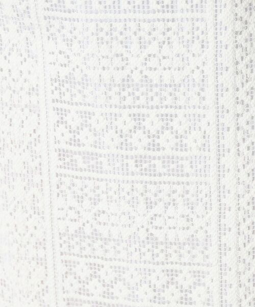 DRESSTERIOR / ドレステリア ロング・マキシ丈スカート | 【後ろウエストゴム】オーガニックコットンブレンドレーススカート | 詳細9