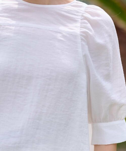 DRESSTERIOR / ドレステリア シャツ・ブラウス | 【洗える/清涼感】ボリュームスリーブバックジップブラウス | 詳細10