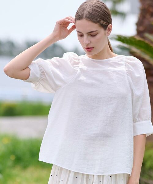 DRESSTERIOR / ドレステリア シャツ・ブラウス | 【洗える/清涼感】ボリュームスリーブバックジップブラウス | 詳細3