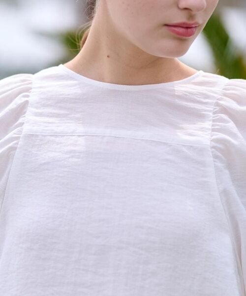 DRESSTERIOR / ドレステリア シャツ・ブラウス | 【洗える/清涼感】ボリュームスリーブバックジップブラウス | 詳細9