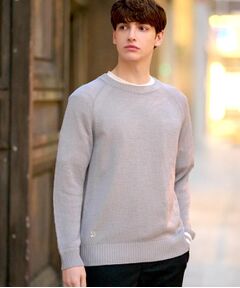 DRESSTERIOR / ドレステリア ニット・セーター | ペーパーコットン ドライニット